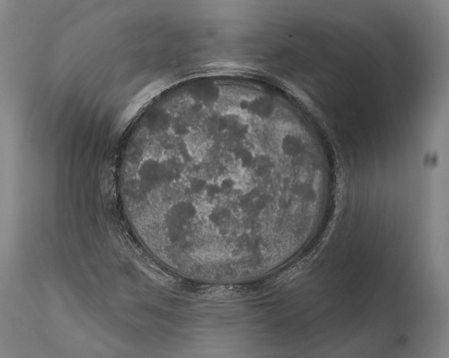 X0000111581259200908061316