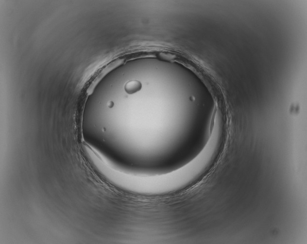 X0000111581261200908061316