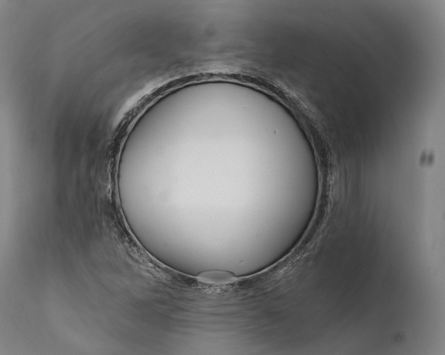 X0000111581262200908061316