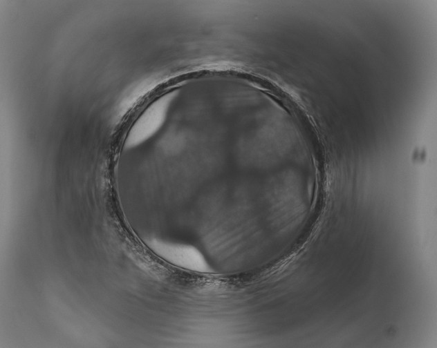 X0000111581263200908061316