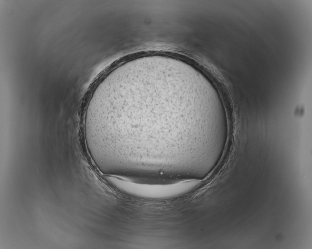 X0000111581264200908061316