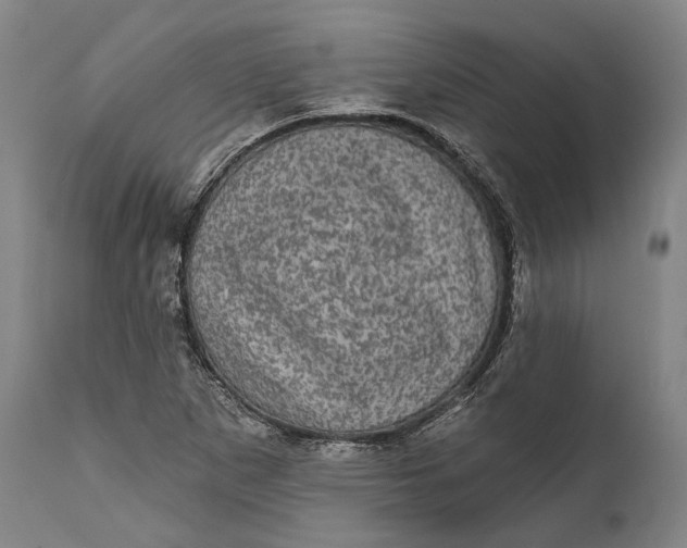 X0000111581265200908061316