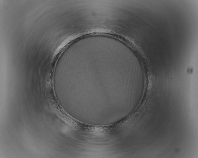 X0000111581266200908061316