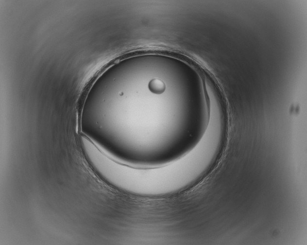 X0000111581269200908061316