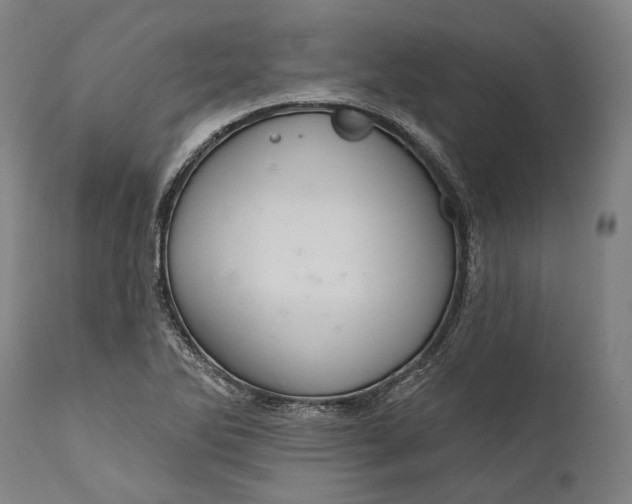 X0000111581270200908061316