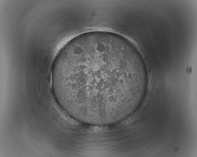 X0000111581271200908061316