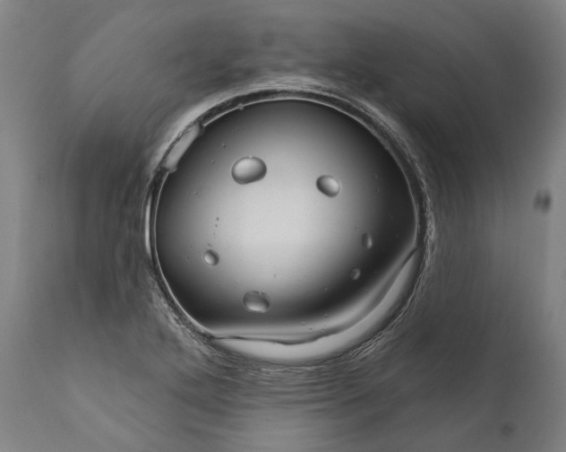 X0000111581272200908061316