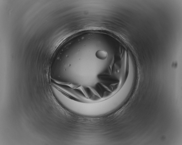 X0000111581273200908061316