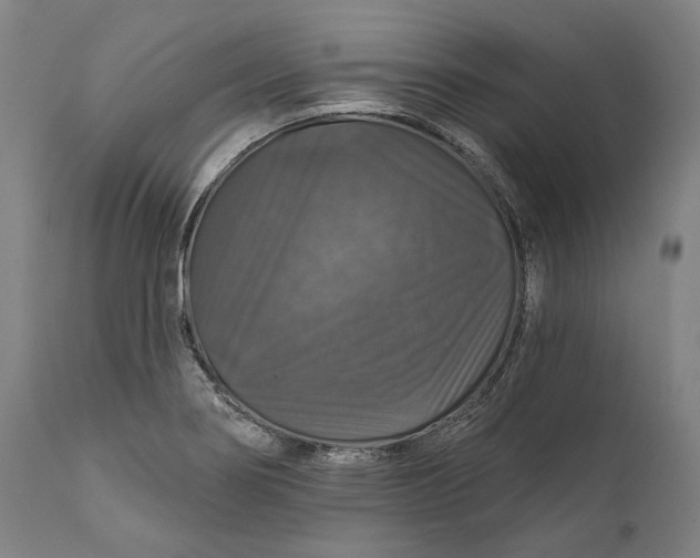 X0000111581274200908061316