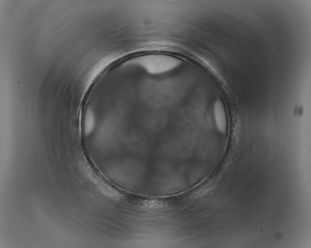 X0000111581275200908061316