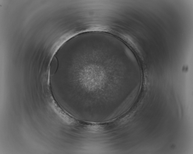 X0000111581276200908061316