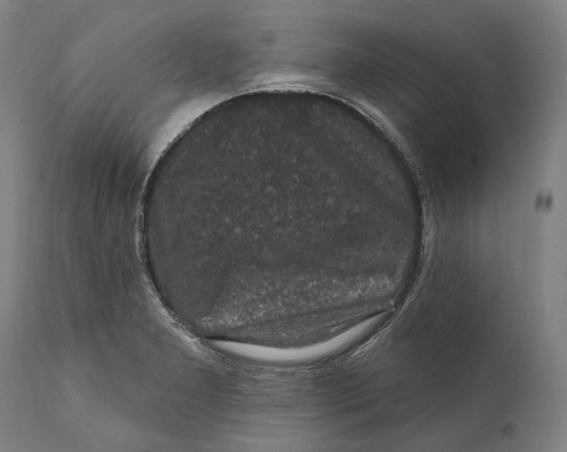 X0000111581277200908061316