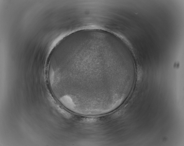 X0000111581278200908061316