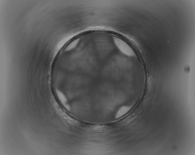 X0000111581279200908061316