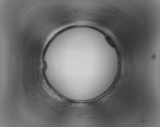 X0000111581280200908061316