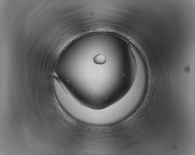 X0000111581281200908061316