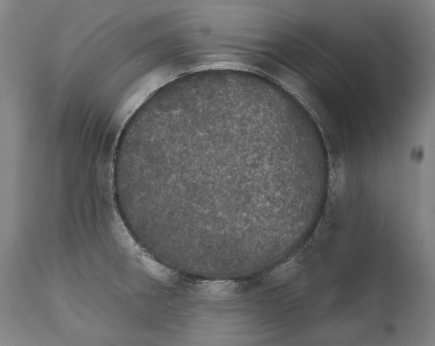 X0000111581282200908061316