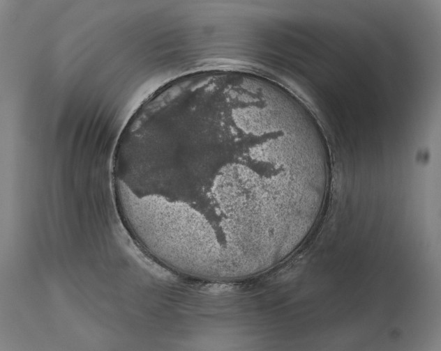 X0000111581283200908061316