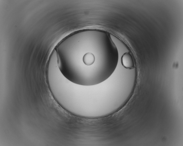 X0000111581284200908061316