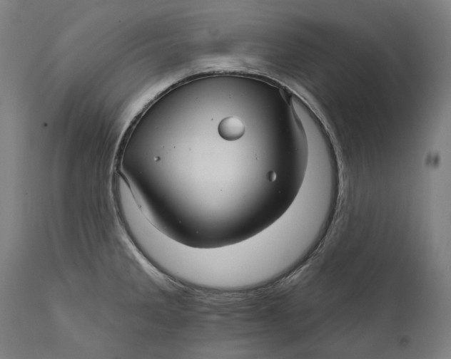 X0000111581285200908061316