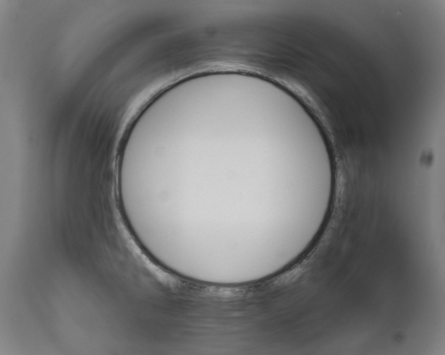 X0000111581286200908061316