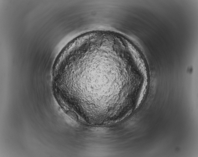 X0000111581287200908061316