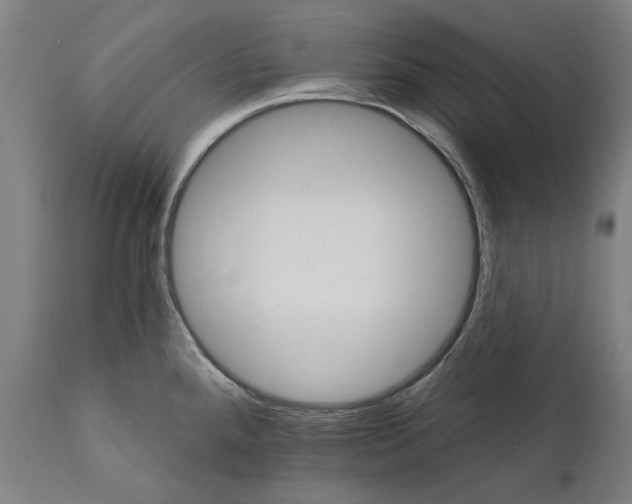 X0000111581288200908061316