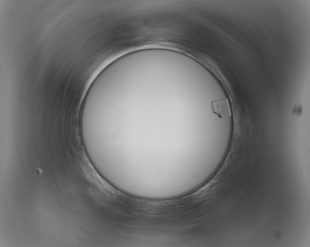 X0000111581292200908061316