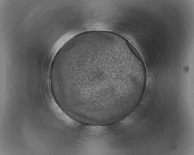 X0000111581293200908061316