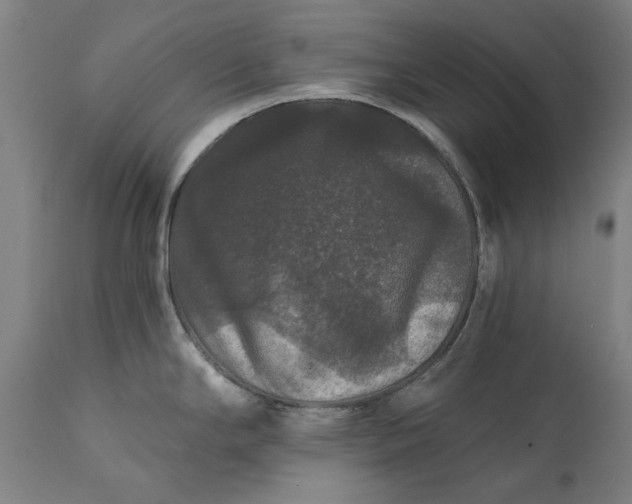 X0000111581294200908061316