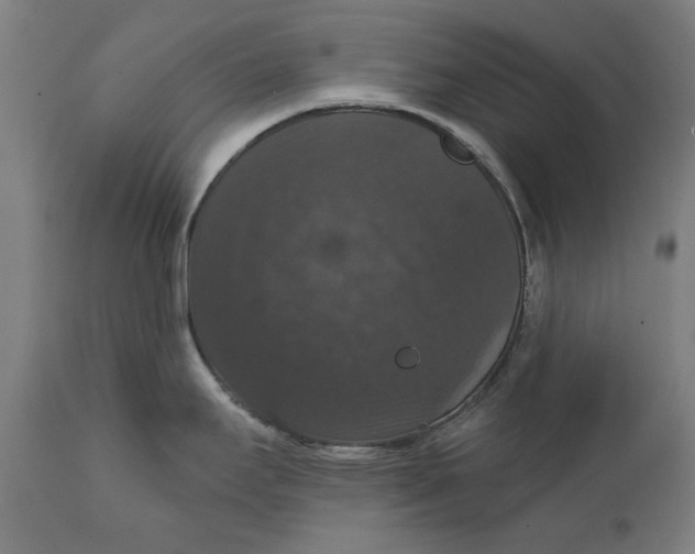 X0000111581295200908061316