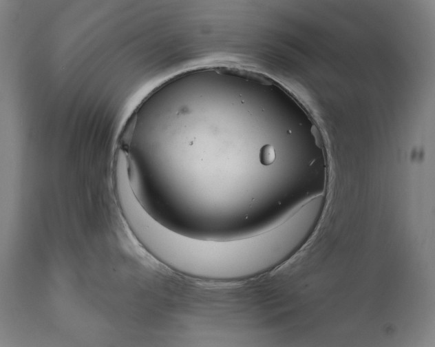 X0000111581296200908061316