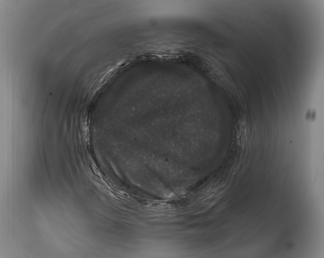 X0000111581298200908061315