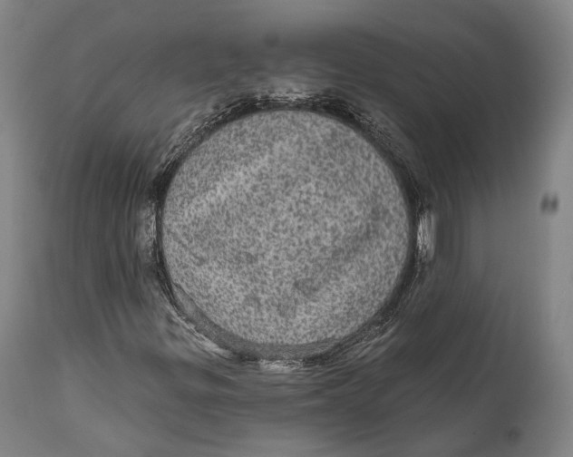 X0000111581299200908061315