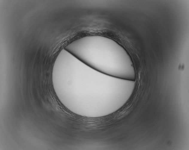 X0000111581300200908061315