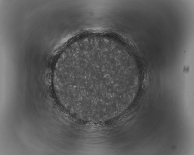 X0000111581301200908061315