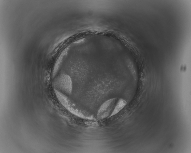 X0000111581302200908061315