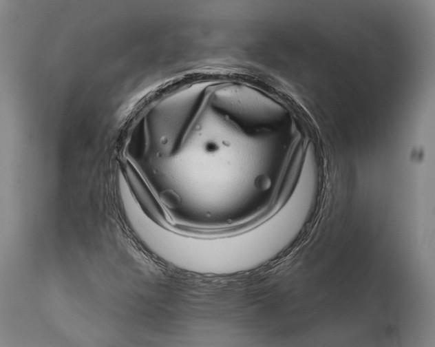 X0000111581304200908061315