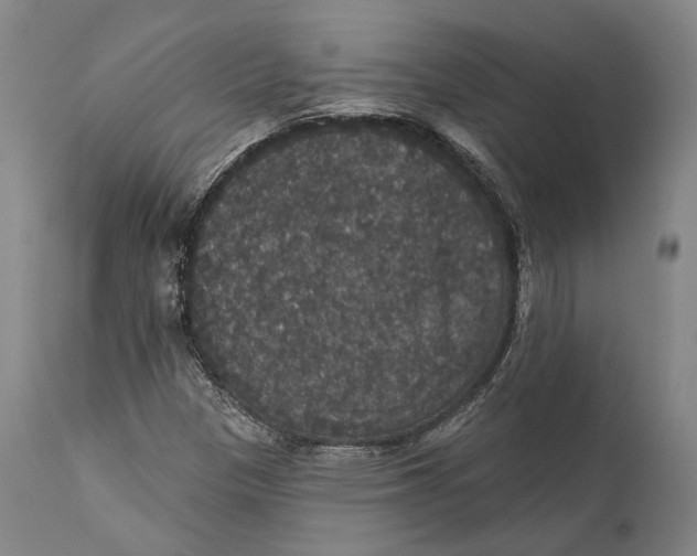 X0000111581305200908061315