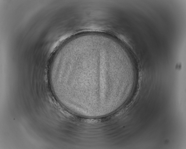 X0000111581307200908061315