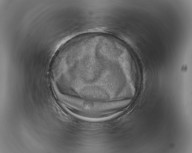 X0000111581308200908061315