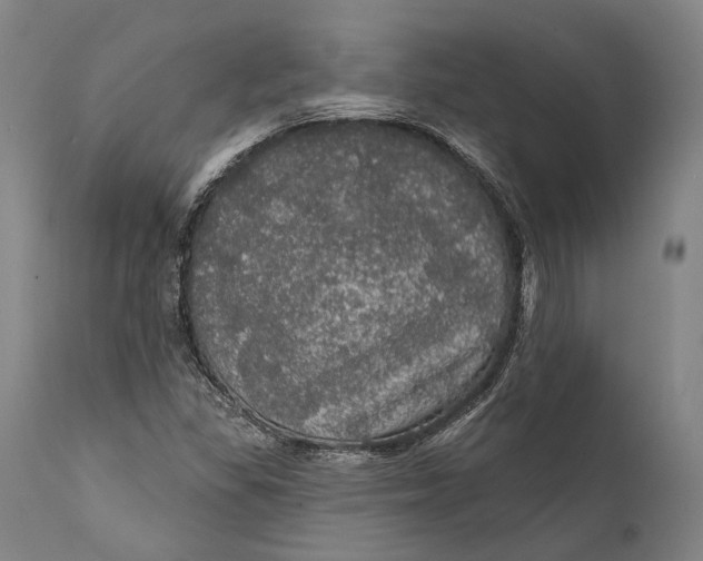 X0000111581309200908061315