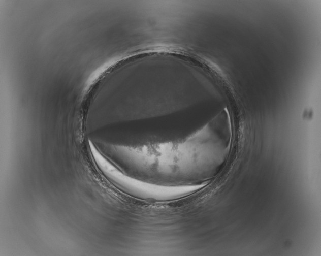 X0000111581310200908061315