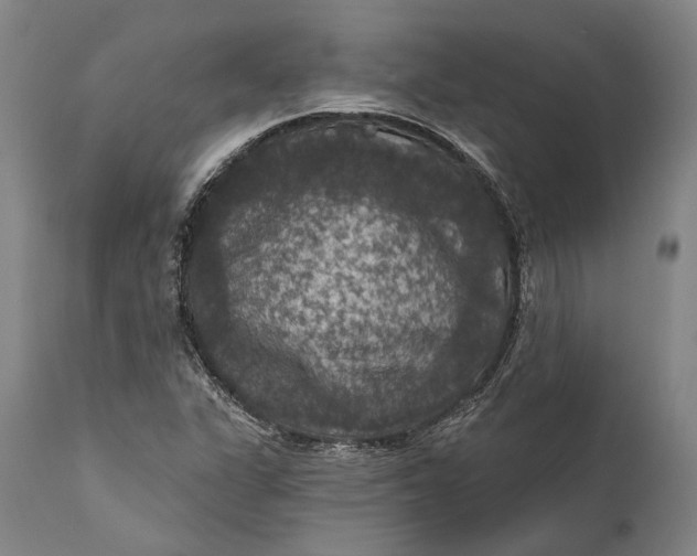 X0000111581311200908061315