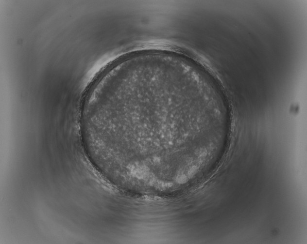 X0000111581312200908061315