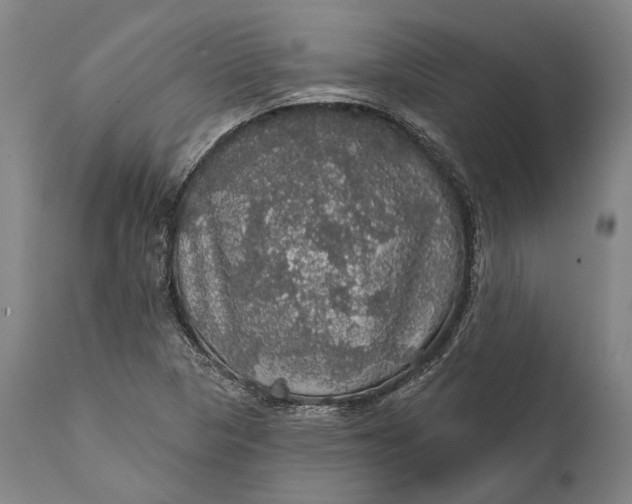 X0000111581313200908061315