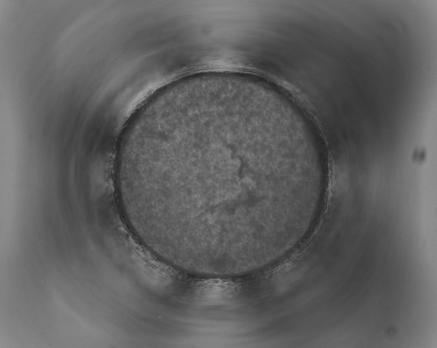 X0000111581314200908061315