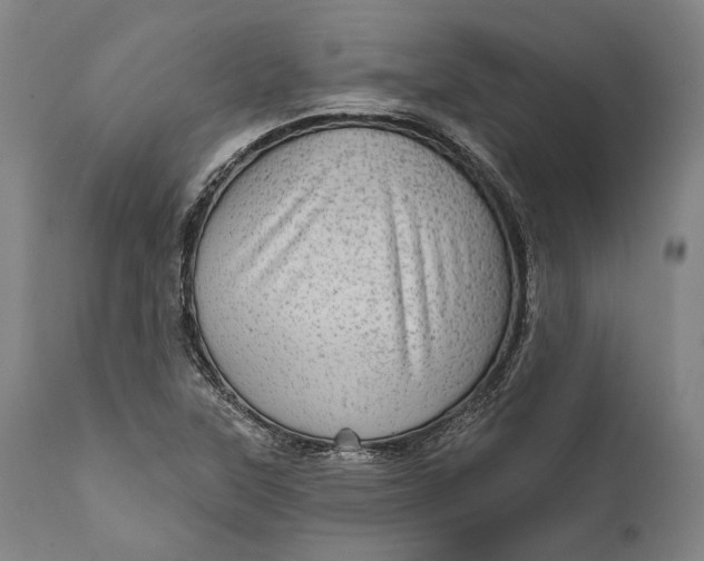 X0000111581315200908061315