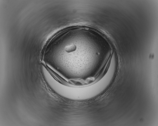 X0000111581316200908061315