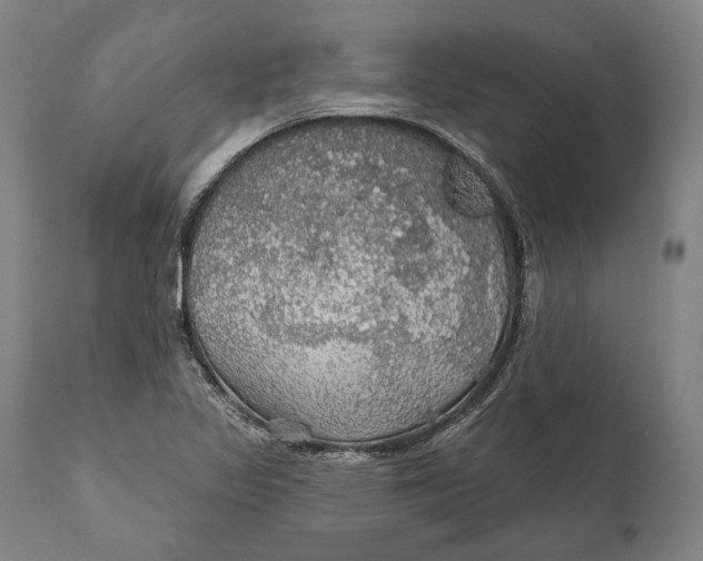 X0000111581317200908061315